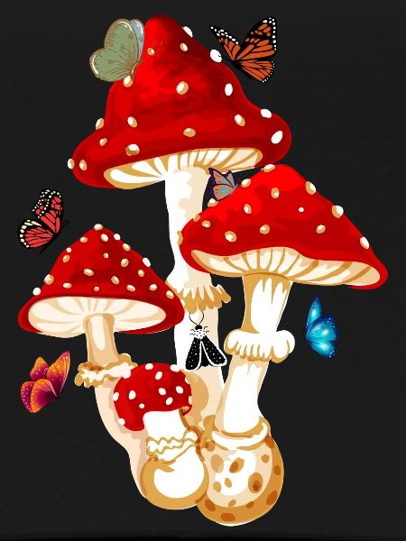 butterfly mushroom