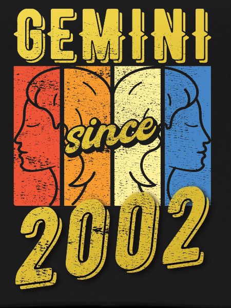 Gemini Zodiac 2002 Gift