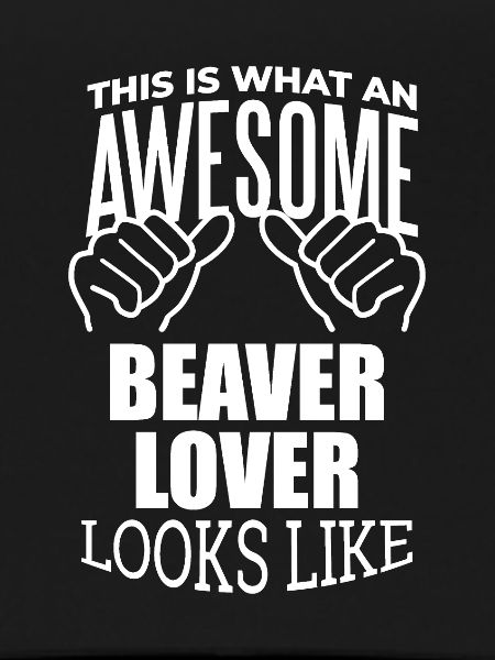Beaver Beaver Beaver