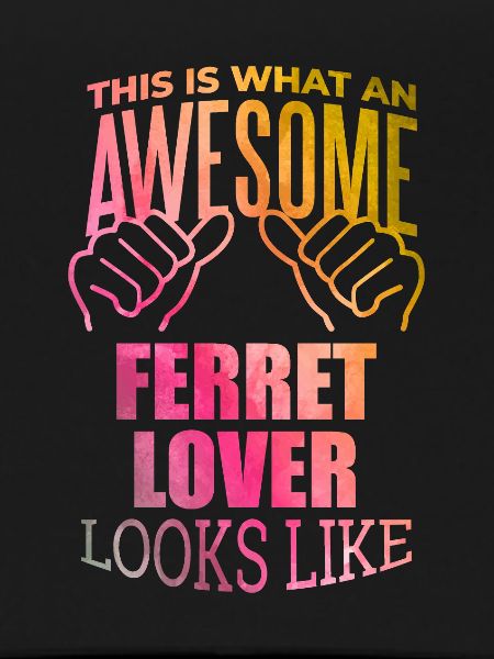 Furet Furet Furet