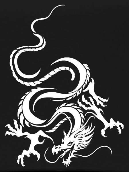 Weißer Drache Komplizierte Grafik