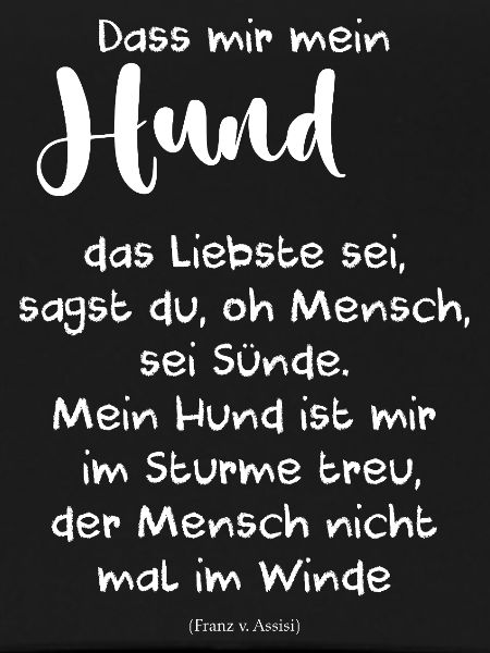 Hund das Liebste