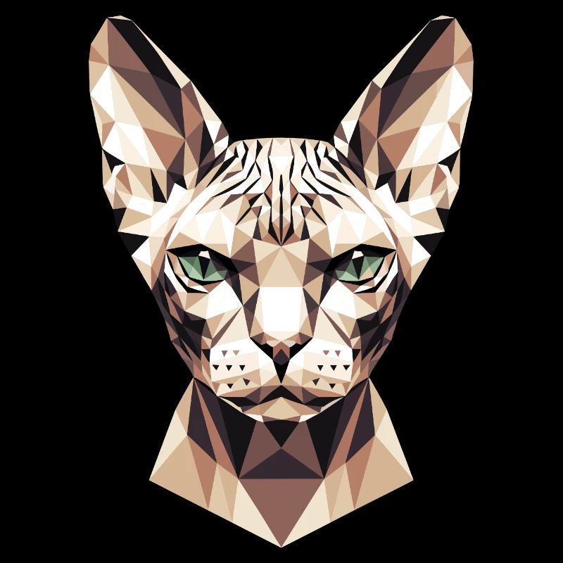 Sphynx Cat Sphynx Cat Canadian Cat Cute Sphinx