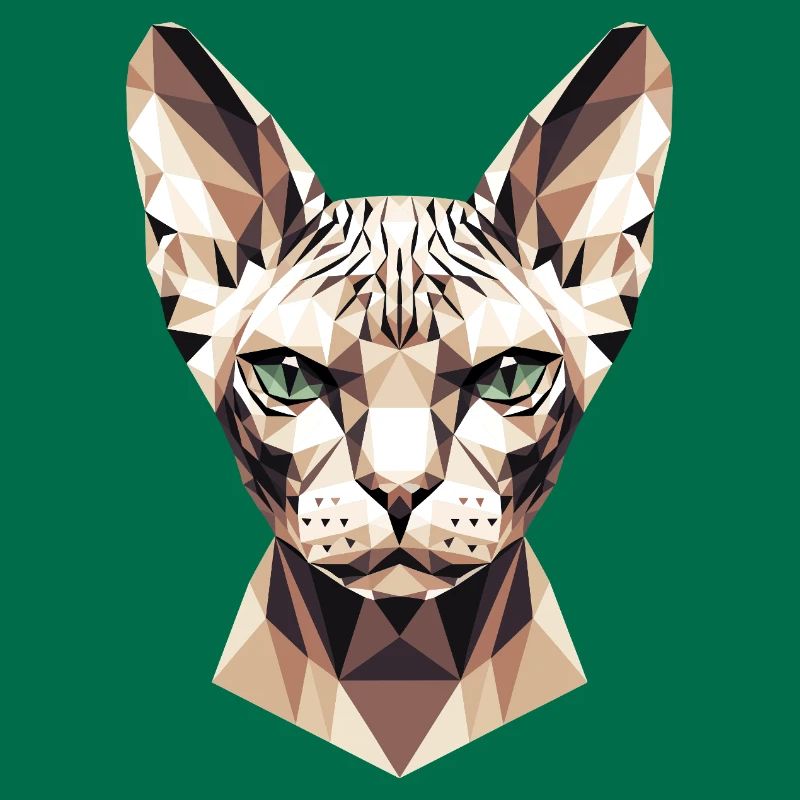 Sphynx Chat Sphynx Chat Chat Canadien Sphinx mignon
