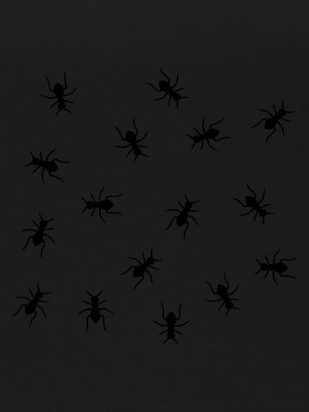 Ants Design