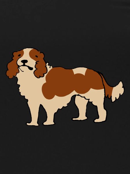 Cavalier King Charles Spaniel