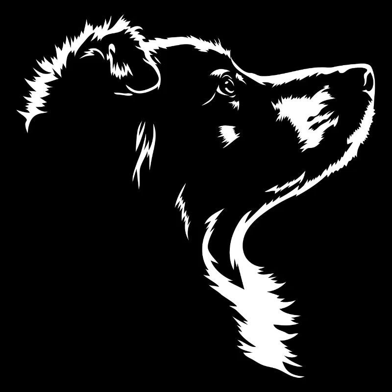 Australian Shepherd Dogs Aussie Dog Wilsigns