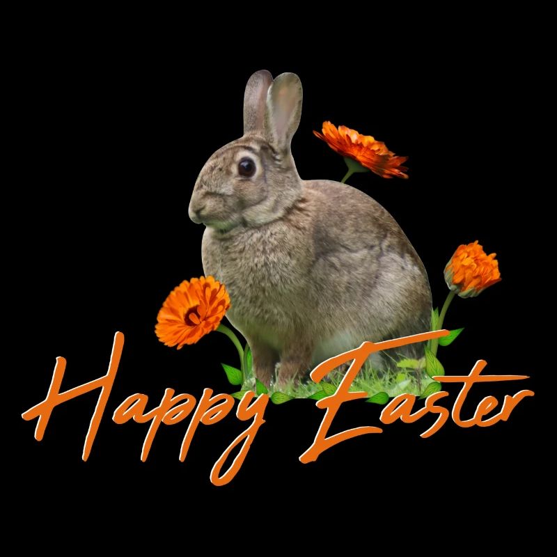 Happy Easter rabbit cony