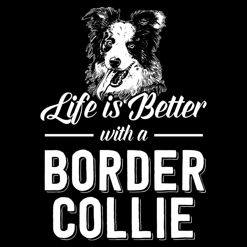 Border Collie chien chiot élevage Agility chien de compagnie