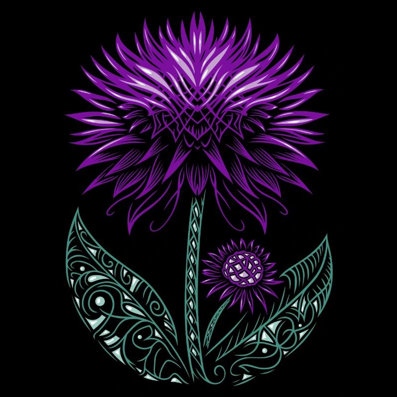 Distel lila Thistle