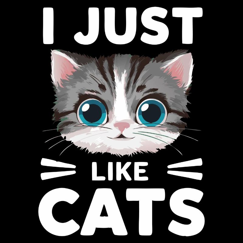 Chat Chats Amoureux Chat Propriétaire Chaton
