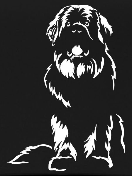 Newfoundland "Black Edition"
