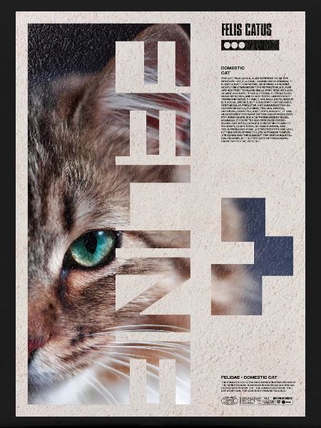 Katzenporträt-Geometrische Collage