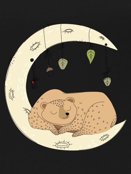 Bear sleeping moon