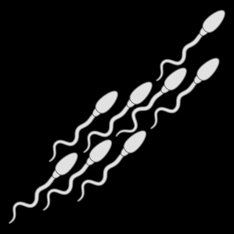 modèle sperme sperme enceinte sperme éjaculation