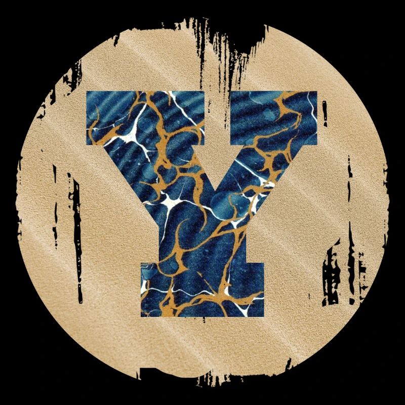 e 16 y