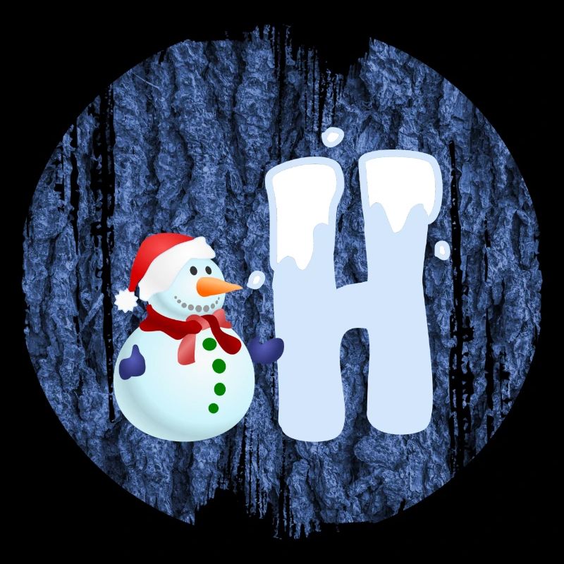 schneemann h