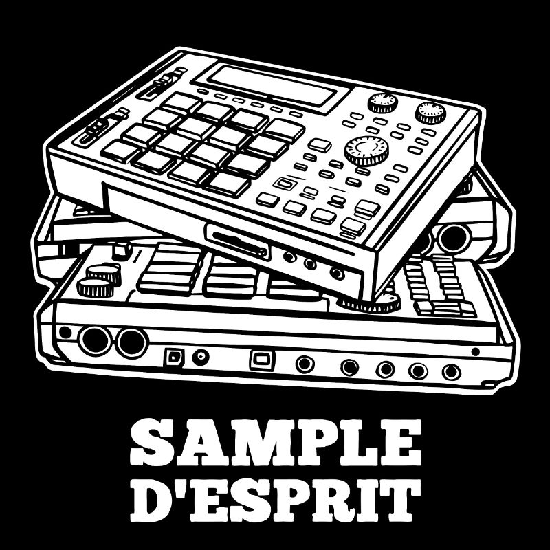 SAMPLE DESPRIT