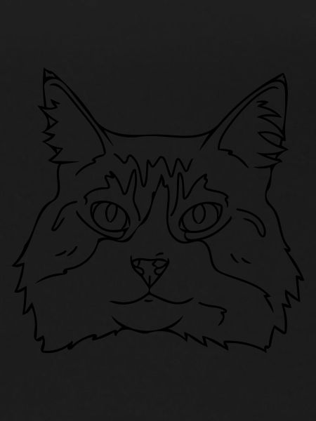 Chat
