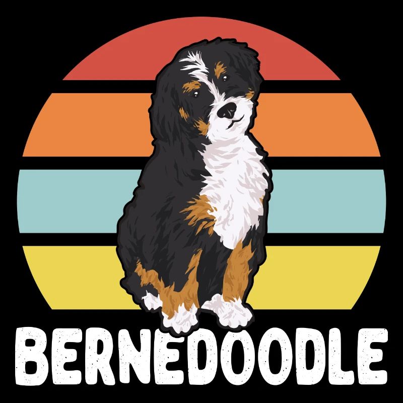 Chien Bernedoodle