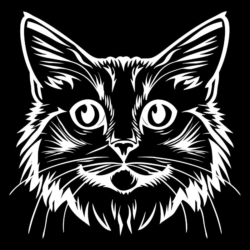 Chat, Motif De Chat, Visage De Chat