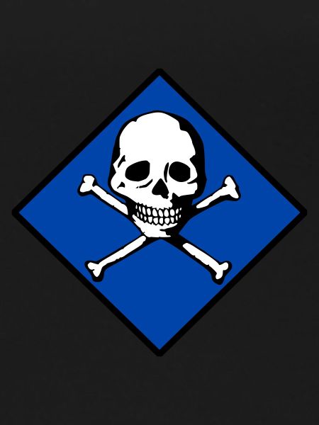 Skull and bones