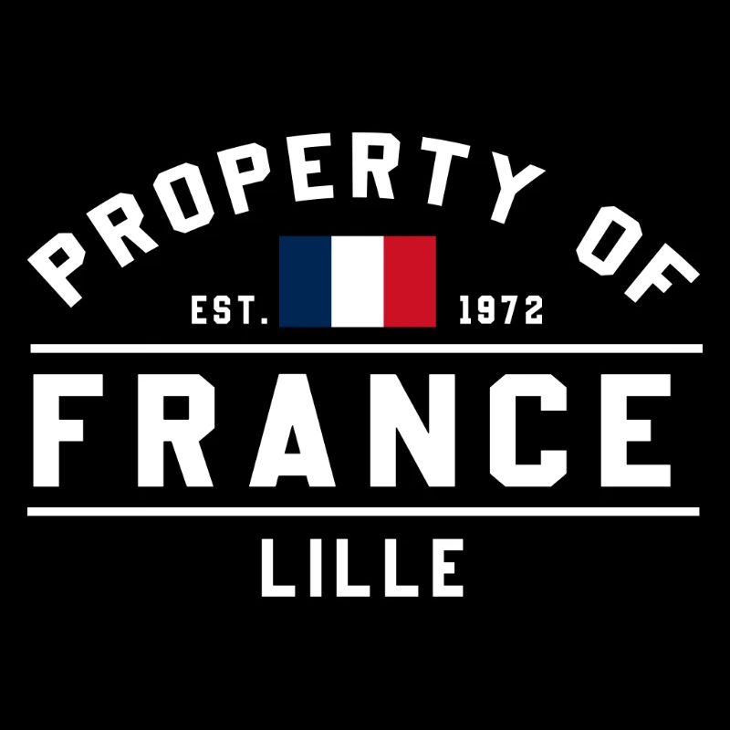 Drapeau français petit design