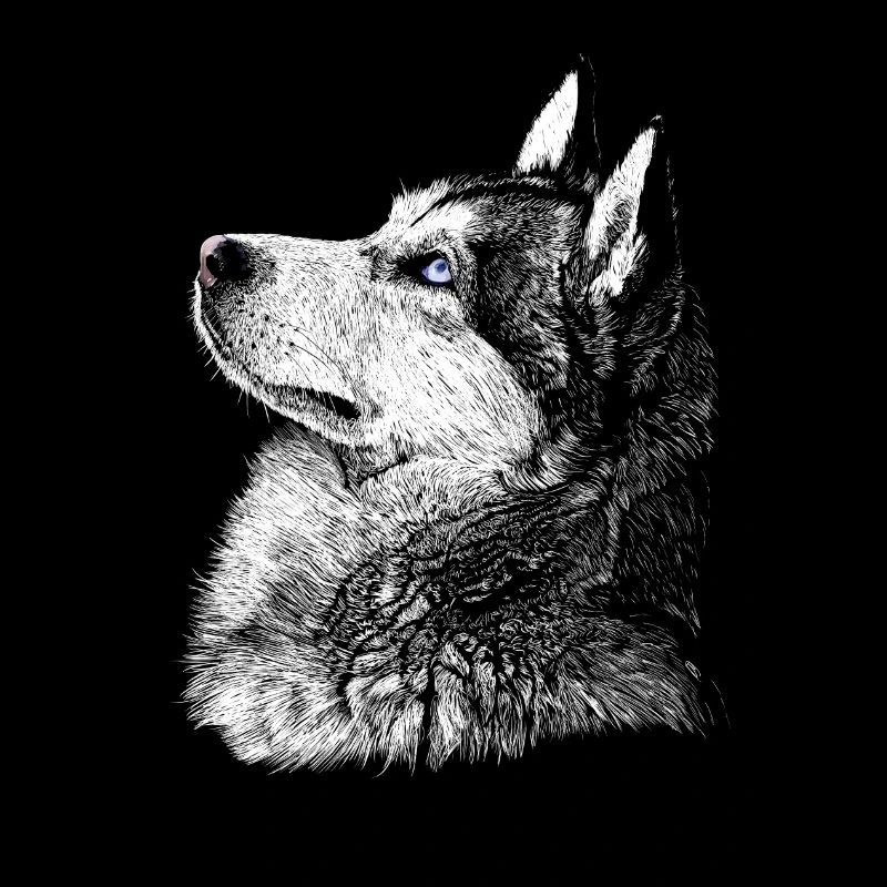 Husky