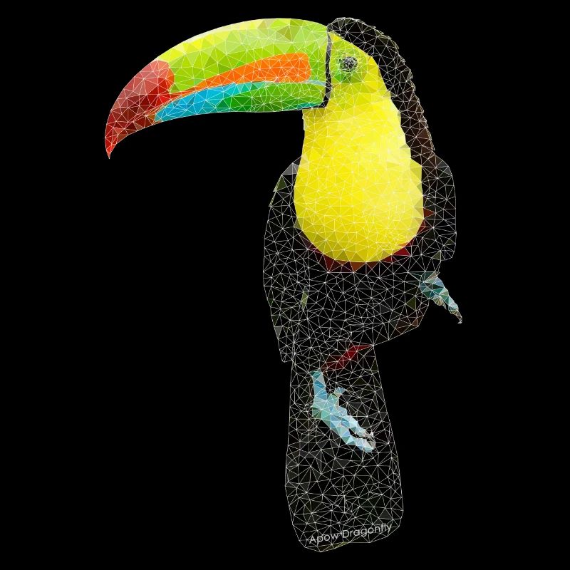 Vogel ~ der Tukan