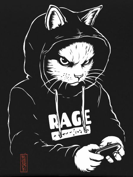 Chat à capuche