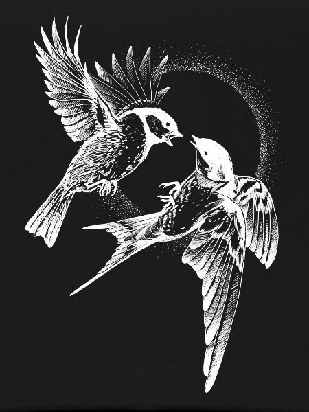 Inversion de combat d’oiseaux