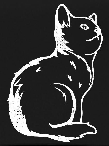 Cat Sketch