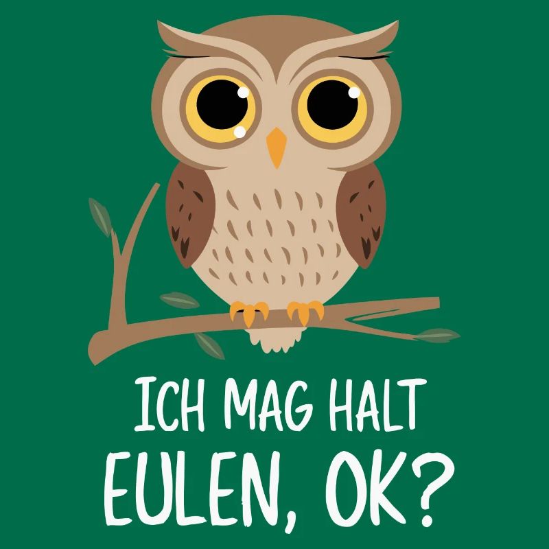Nachteule Eule Eulen Vogel