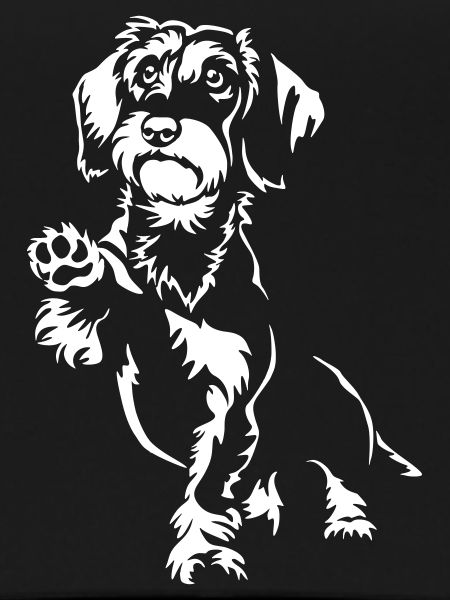Dachshund "Black Edition"
