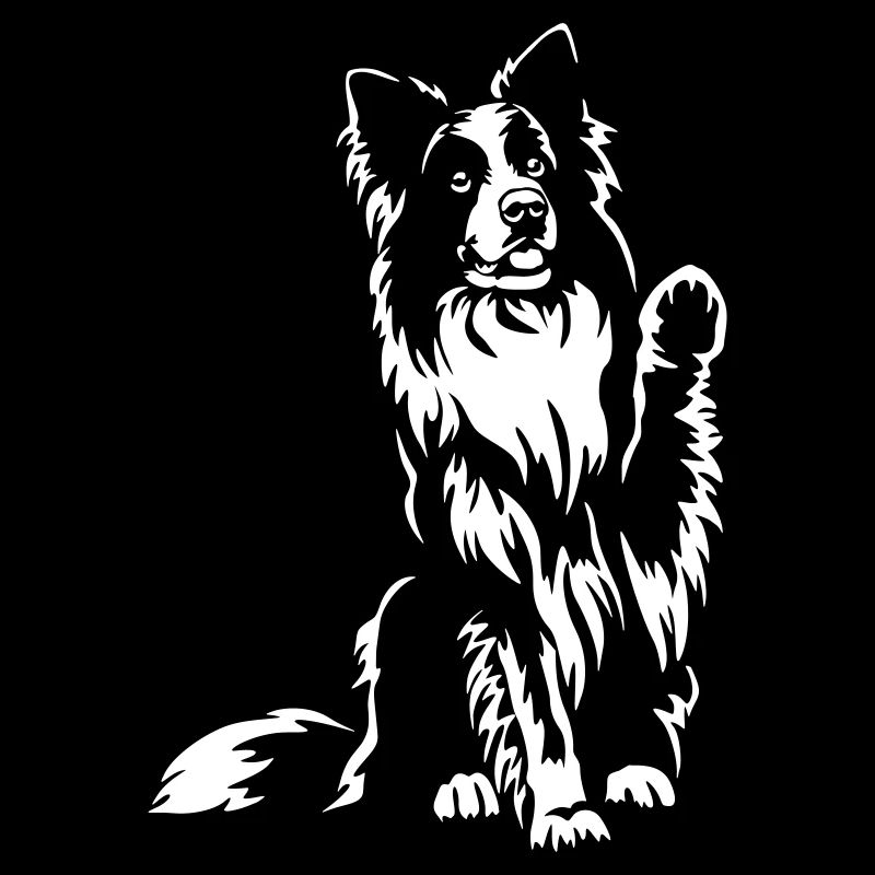 Border Collie "Black Edition"