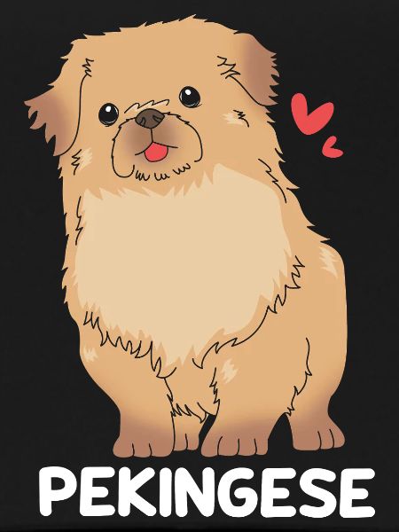 Pekinese