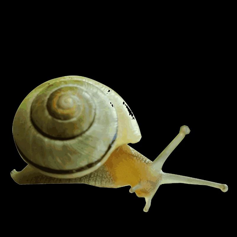 You snail!
