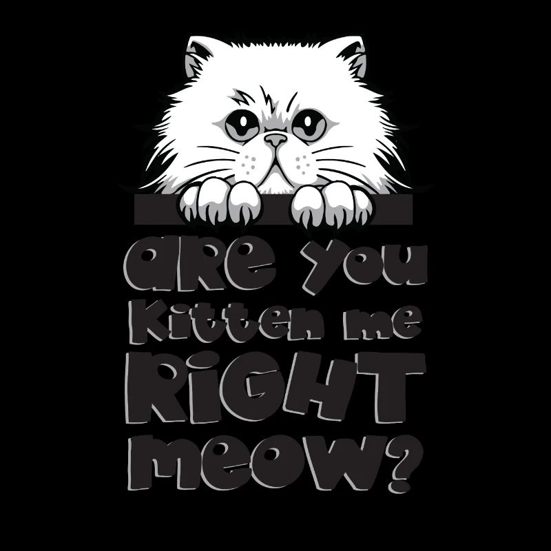 Cadeau chat chat face griffe course chat