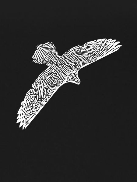 Falcon