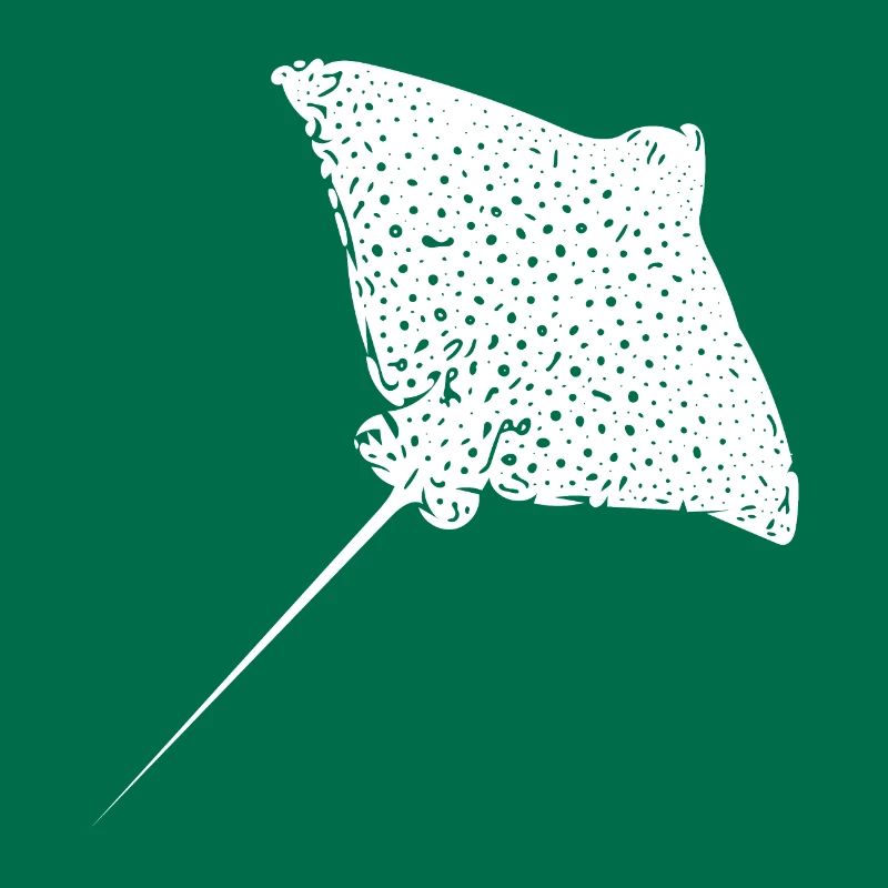 Eagle rays