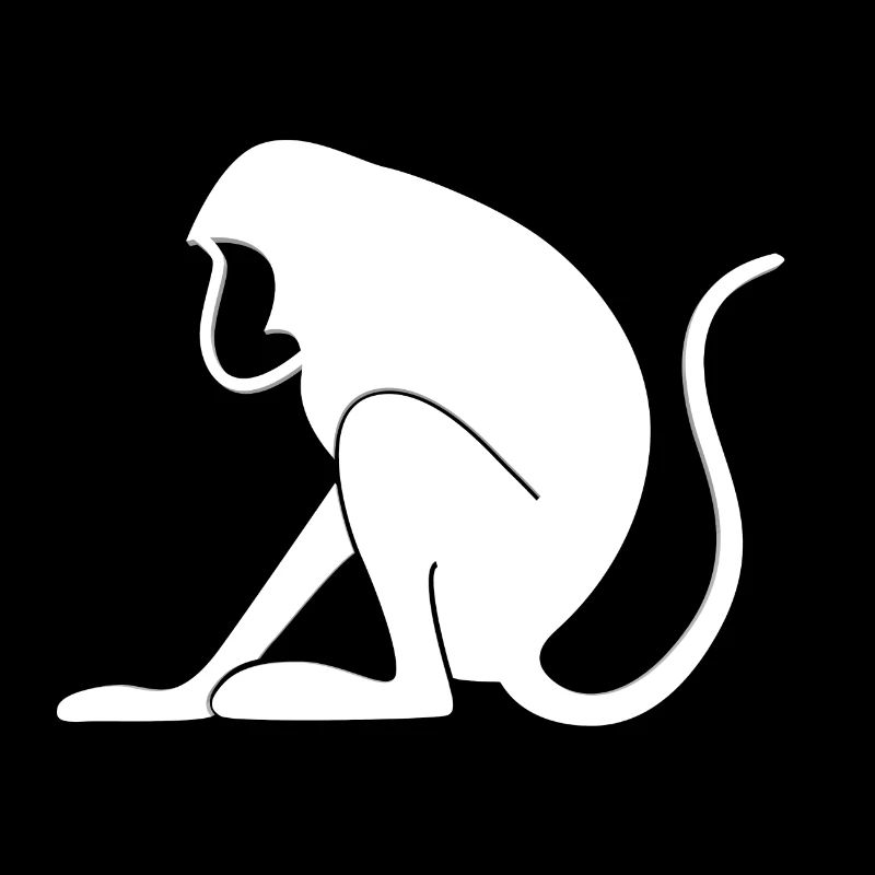 Singe singes voilés
