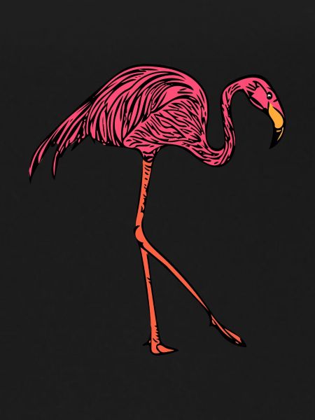 flamingo