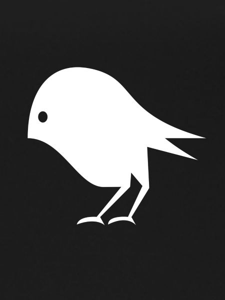 Bird Illustration