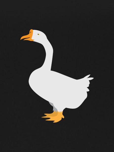 White goose standing