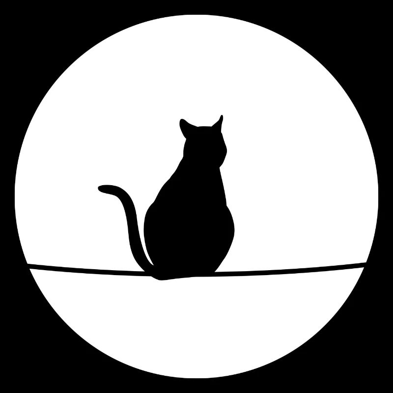 Chat au clair de lune