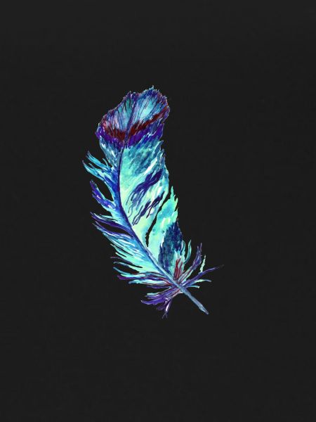 feathers