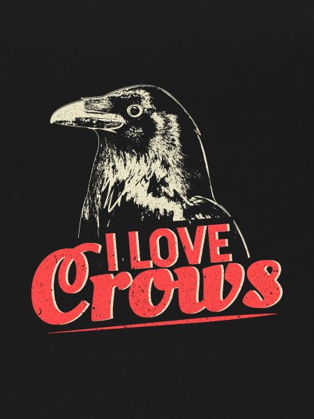 Crow soul bird