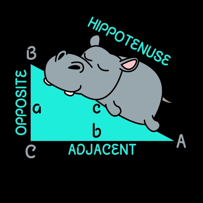 Hippoténuse math maths professeur de mathématiques blague