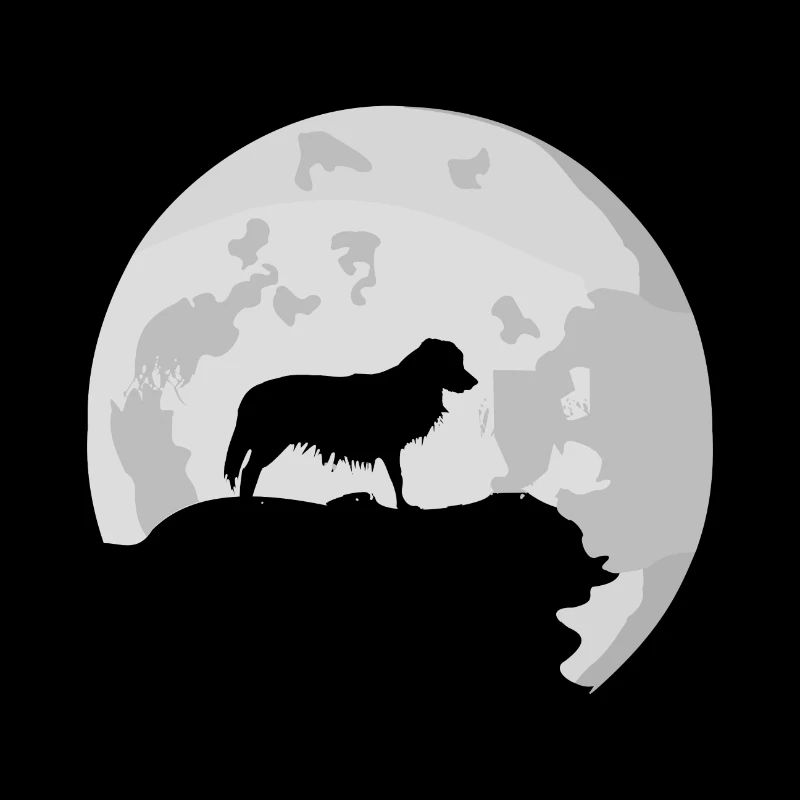 Kooikerhondje Kooiker full moon moon silhouette