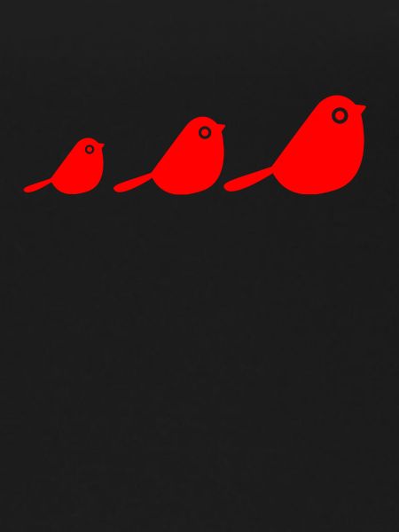 Des oiseaux